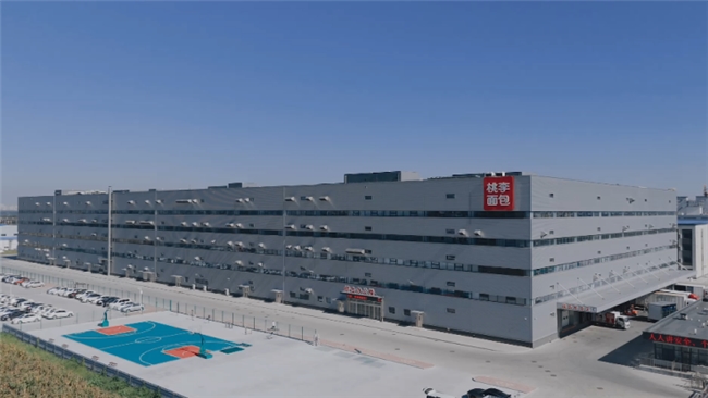 新利luck18(中国)体育·官方网站